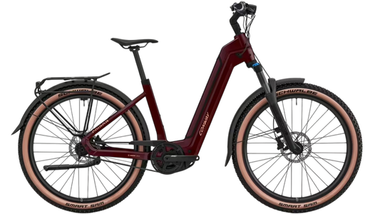 Conway Cairon C 1.0 B 800 Wave burgundy matt 8-Gang-Shimano-Nexus 41 cm 800 Wh E-City Fahrrad