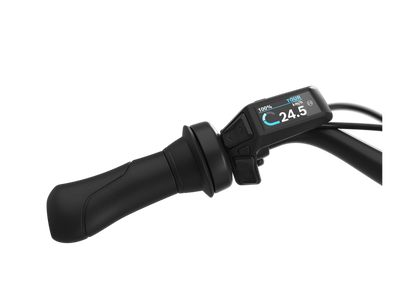 Gazelle Arroyo C8 – Komfortables City E-Bike für Alltag & Tour