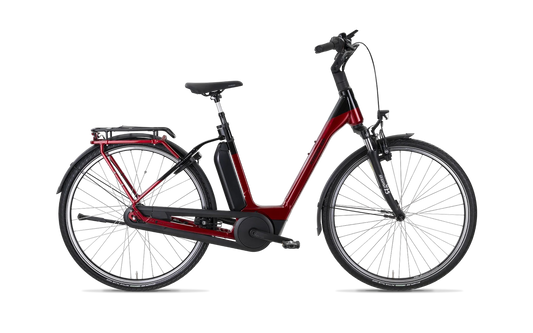 Vitality Eco 3 Comfort Shimano Nexus 8-Gang Rücktritt / Bosch Active Line Plus / 545Wh / HS11