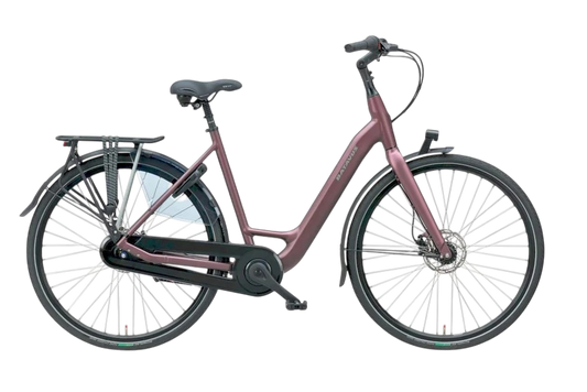 Batavus Finez
