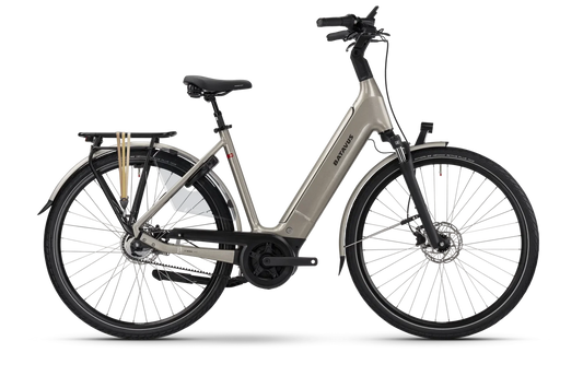 Batavus Finez E-go Power Exclusive Plus RT 750 – Das komfortable Tiefeinsteiger-E-Bike