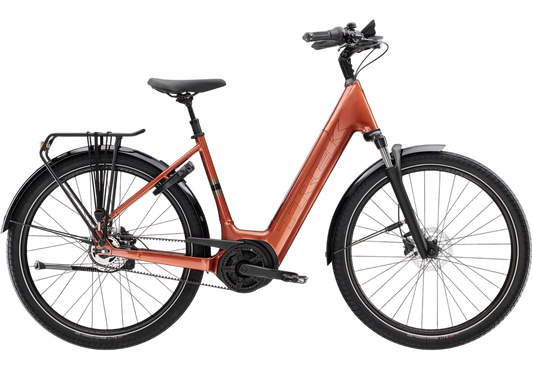 Diamant District+ 4 Lowstep Coaster Bosch Performance Line 545Wh Pennyflake M 27,5 zoll