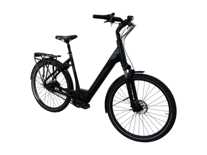 Trek District + 2 Belt Lowstep Trek Black Günstiges E-Bike City