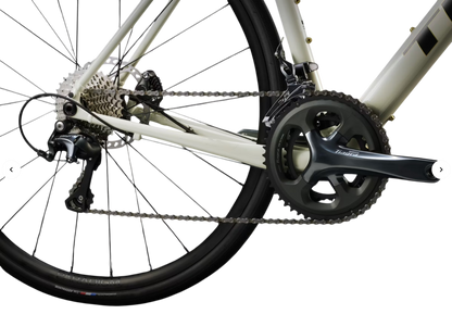 Trek Domane AL 4 Gen 4 Aluminium Endurance Rennrad Era White