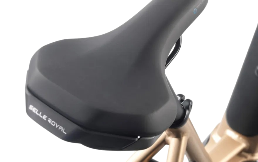 STEVENS E-Brione Luxe – Komfortables Premium City-E-Bike mit Riemenantrieb