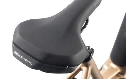 STEVENS E-Brione Luxe – Komfortables Premium City-E-Bike mit Riemenantrieb