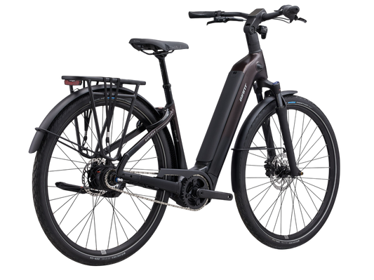 GIANT AnyTour E+ 4 RT – Komfortables E-Touringbike für Alltag & Abenteuer