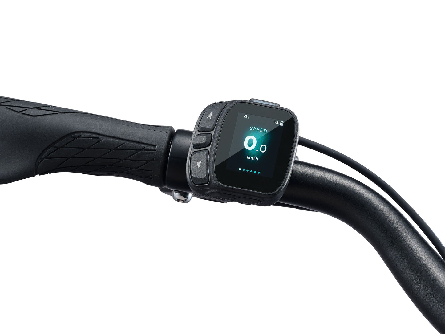 Giant NewTour E+ 2 LST RT – Tiefeinsteiger E-Bike mit Riemenantrieb & Rücktritt