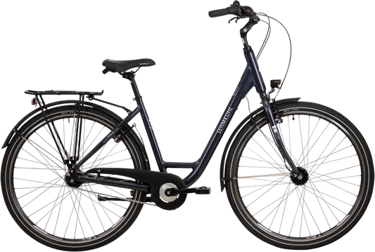 Lehmkuhl City C3 Wave – Komfortables Citybike für den Alltag
